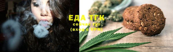 индика Балахна