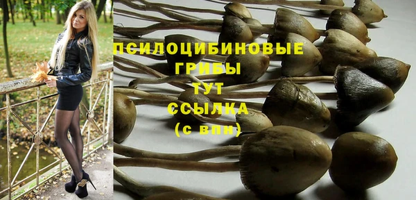 индика Балахна