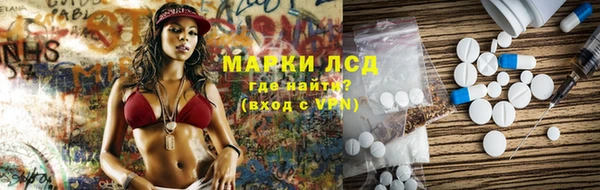 индика Балахна