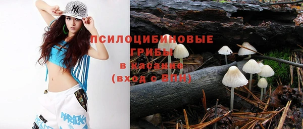 индика Балахна