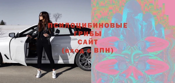 индика Балахна