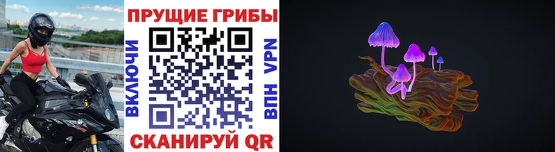 Галлюциногенные грибы GOLDEN TEACHER OMG ССЫЛКА Армавир